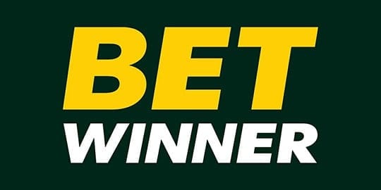betwinner Casino logo review