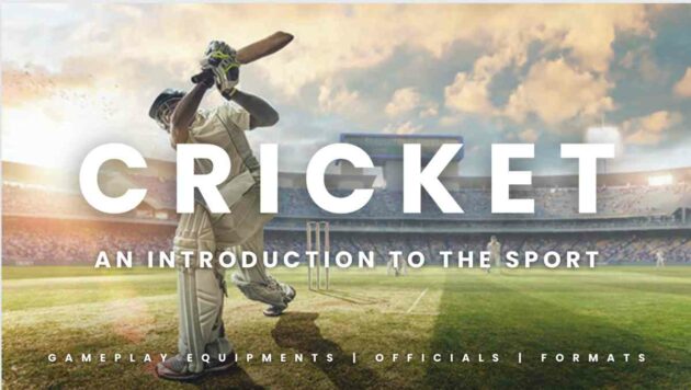 introduction to cricket