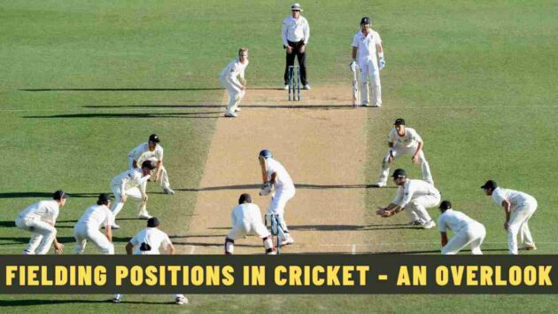 Fielding Positions in Cricket - An Overlook