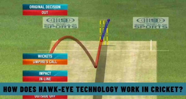How Does Hawk-Eye Technology Work in Cricket?