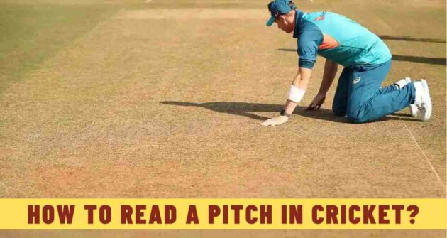 How to Read a Pitch in Cricket?