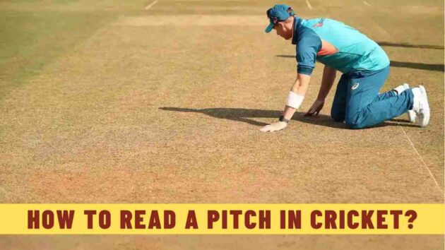 How to Read a Pitch in Cricket?