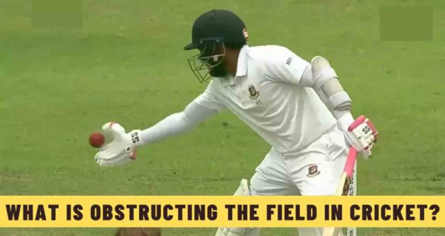 What is Obstructing the Field in Cricket?