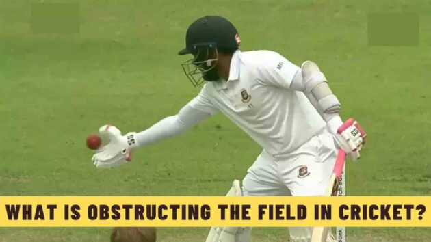 What is Obstructing the Field in Cricket?