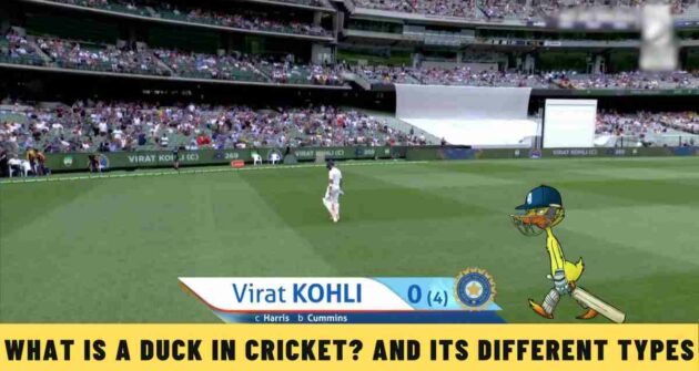 What is a Duck in Cricket? And its Different Types