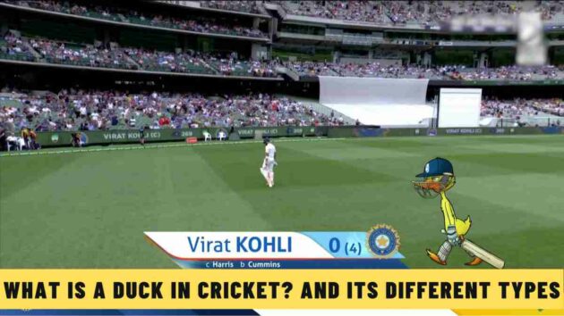 What is a Duck in Cricket? And its Different Types