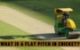 What is a Flat Pitch in Cricket?