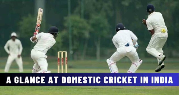 A Glance at Domestic Cricket In India