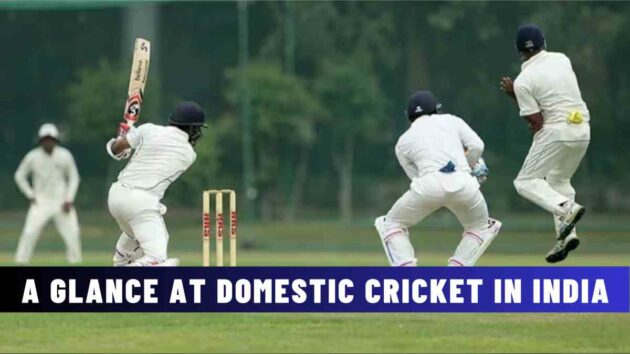 A Glance at Domestic Cricket In India