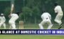 A Glance at Domestic Cricket In India