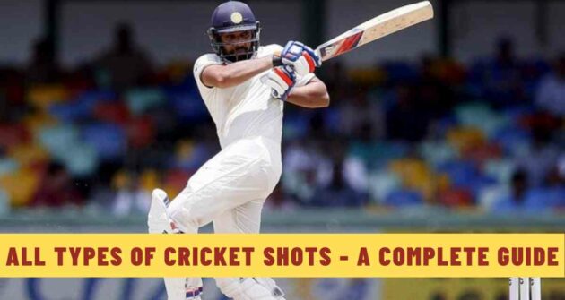 All Types of Cricket Shots - A Complete Guide