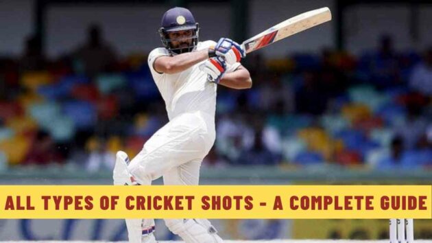 All Types of Cricket Shots - A Complete Guide