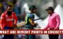 What are Demerit Points in Cricket? | Explained