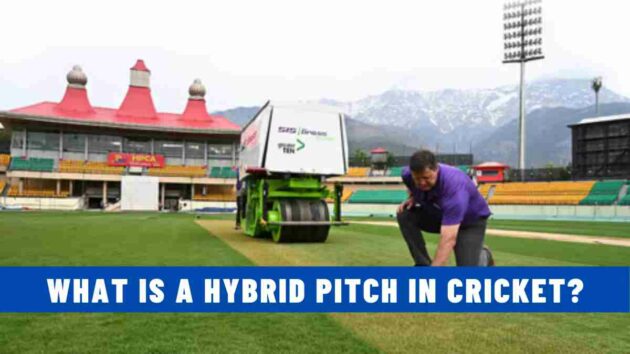 What is a Hybrid Pitch in Cricket?