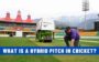 What is a Hybrid Pitch in Cricket?