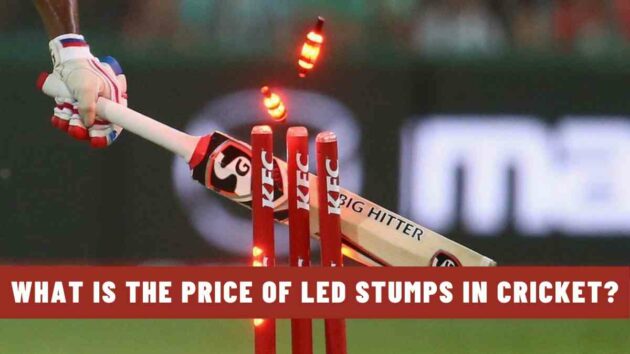 What is the Price of LED Stumps in Cricket?