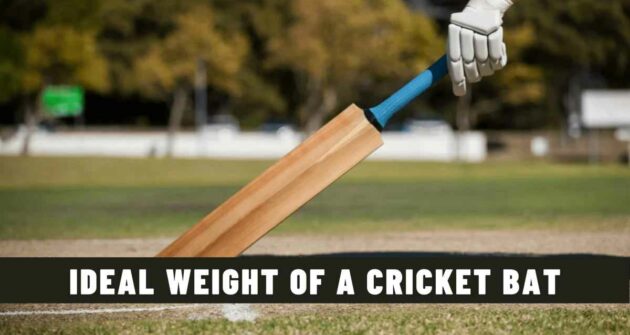 Ideal Weight of a Cricket Bat - An Overview