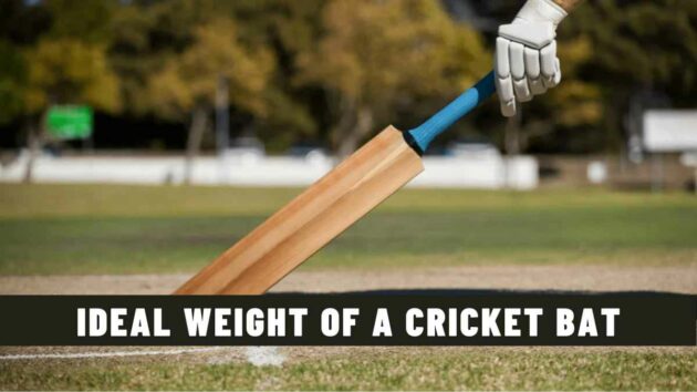 Ideal Weight of a Cricket Bat - An Overview