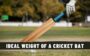 Ideal Weight of a Cricket Bat - An Overview