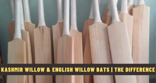 Kashmir Willow and English Willow Bats | The Difference