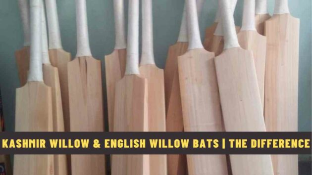 Kashmir Willow and English Willow Bats | The Difference