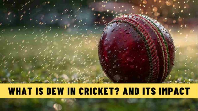 What is Dew in Cricket? And its Impact