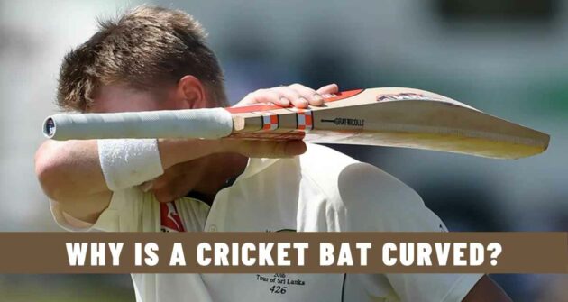 Why is a Cricket Bat Curved?