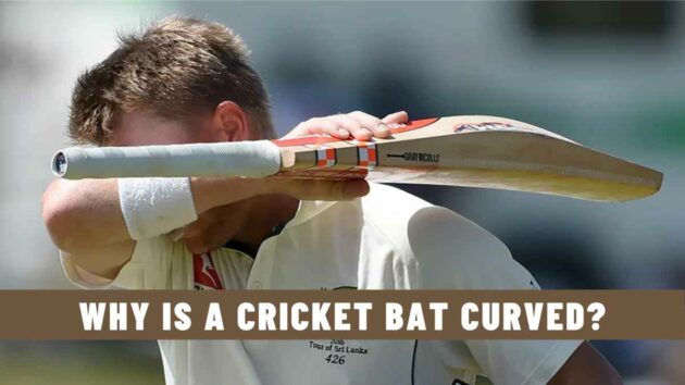 Why is a Cricket Bat Curved?