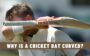 Why is a Cricket Bat Curved?